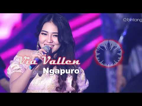 Via Vallen - Sepuro (Video By Ds)