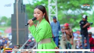 Download lagu new pallapa | CAMELIA | Tasya rosmala | Wringinanom Gresik | Ramayana audio mp3