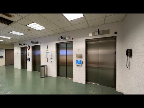 Newly Modernized Westinghouse (OTIS Compass) Elevators - West Penn Hospital - Pittsburgh, PA