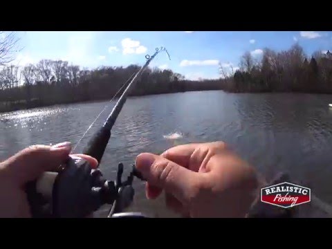 About Realistic Fishing Realistic Fishing