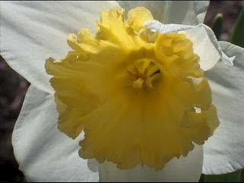 Video thumbnail for Uncreated One