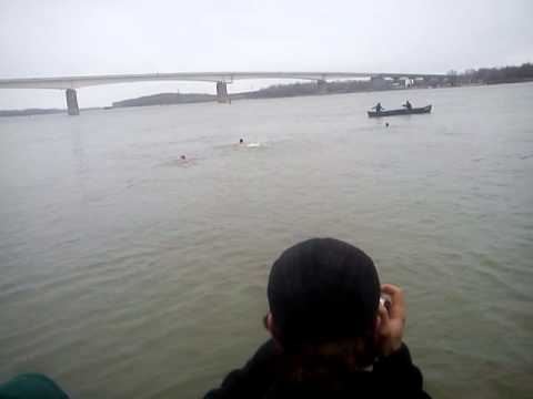 boboteaza giurgeni 2013