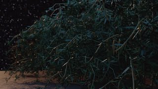 今日七夕なの完全に忘れてた - Blender