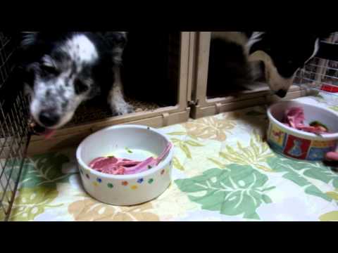 Ｈａｐｐｙ　Ｂｉｒｔｈｄａｙ　Ｒｕｎａ