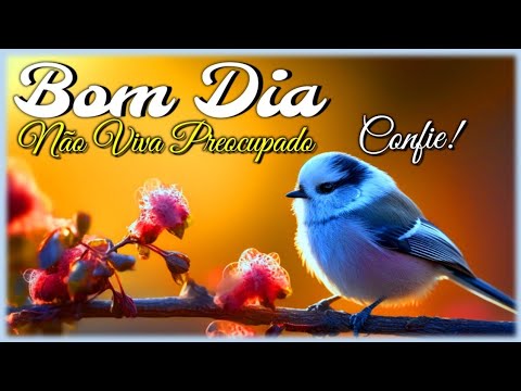 Não Viva Preocupado I Mensagem de Bom Dia