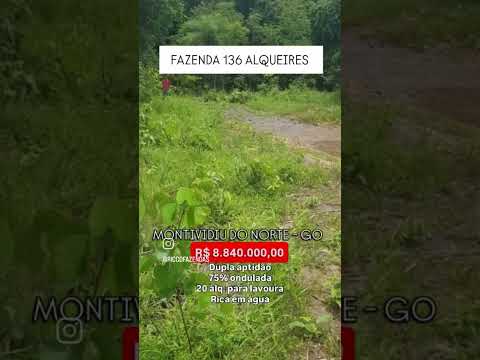 M136 Alqueires em Montividiu do Norte - Go | whatsapp 62 99373-6407