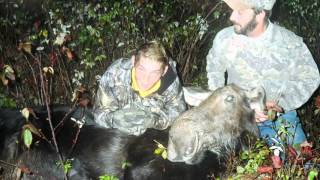 Heritage: &quot;Human, Nature&quot; - Hunt of A Lifetime