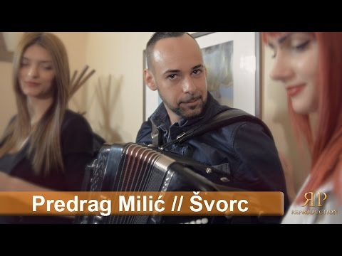 Predrag Milić // Švorc kolo (Official HD 2015)