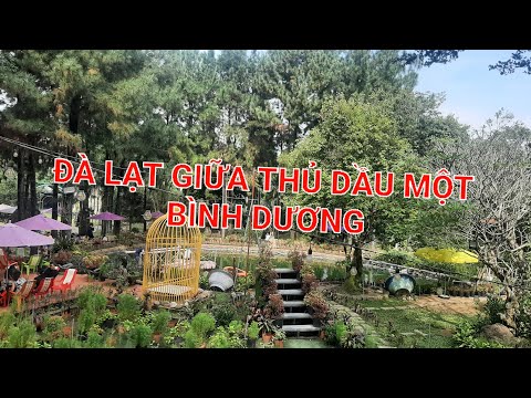 QUÁN COFFEE CHILL ĐÀ LẠT TẠI BÌNH DƯƠNG
