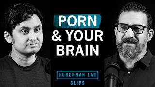 How Porn Changes Your Brain | Dr. Alok Kanojia & Dr. Andrew Huberman