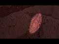 Danija Pavėsinė Grand Canyon Tahuta 5