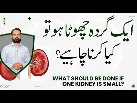 Causes of Small Kidney in Urdu | Aak Gurda Chota Ho Toh Kaya Karne Chahiye