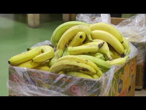 В Курске следят за ситуацией с продовольствием