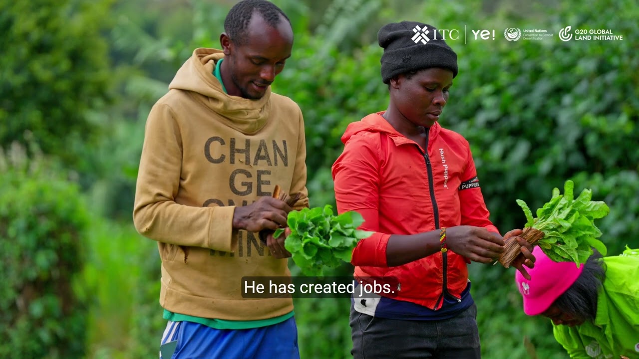 How AI helps farmers adapt to climate change: the story of AgriTech Analytics (long version)