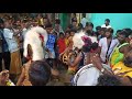 Tirupattur Gangaiamman Festival Karakattam