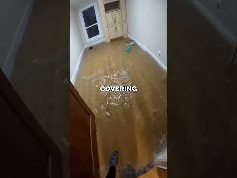 Floodwater Was Pouring Into Our House… Then We Realized the Puppy Was Missing