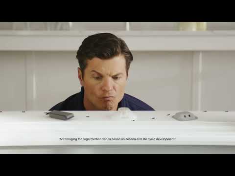 Combat® 2-in-1 Ant Bait | Defend Your Home | 0:15