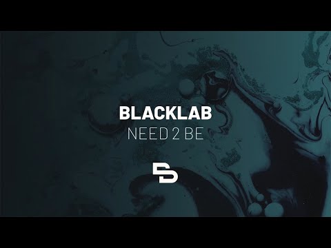 Blacklab - Need 2 B