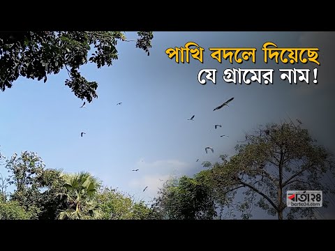 পাখি বদলে দিয়েছে যে গ্রামের নাম!