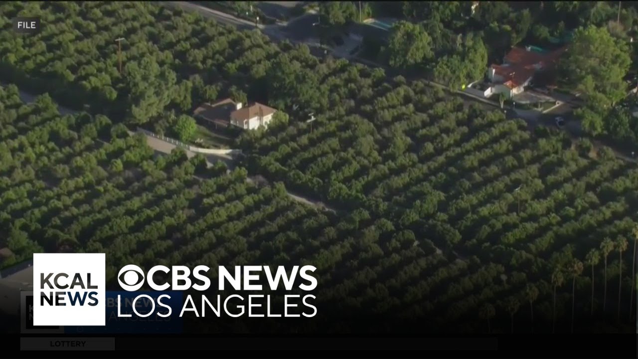 Heirs of Bothwell Ranch, LA's last orange grove, sell to real estate developers