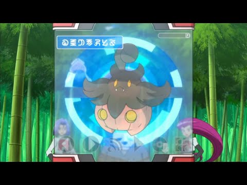 Pumpkaboo and Gourgeist Pokédex Entries..wmv