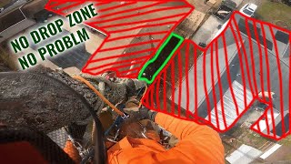 (RAW) How to remove a tree with ZERO DROP ZONE