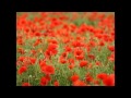 This Is My Commandment Wells Cathedral Choir