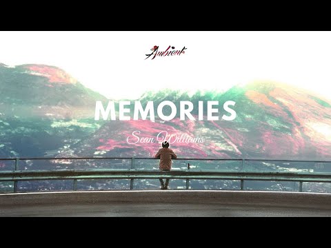 Sean Williams - Memories