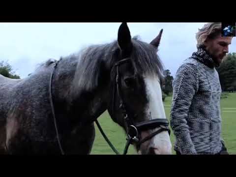 Alexander Tarasov  - The Way Home