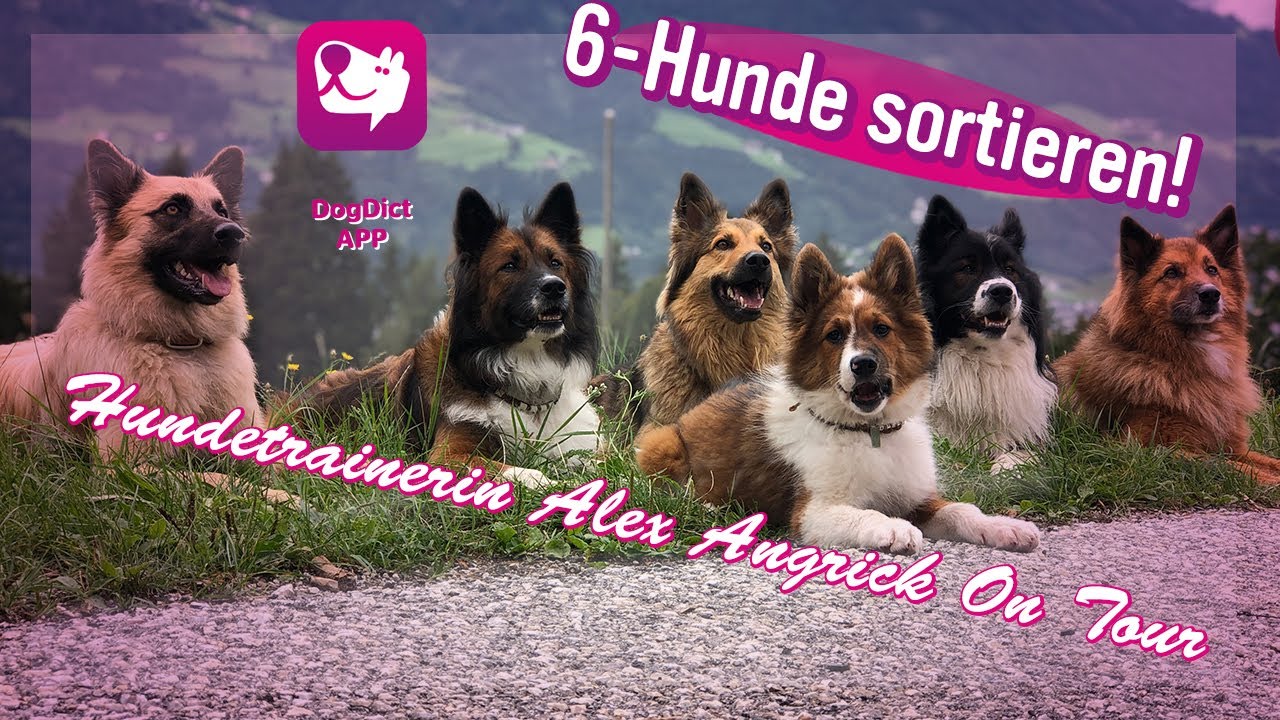Folge 44: Die Camper - Bei Regen