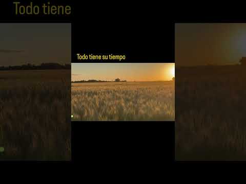 Campos dorados en Santa Fe | Walking Argentina