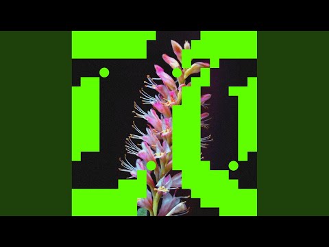 Better O'be New (Extended Mix)