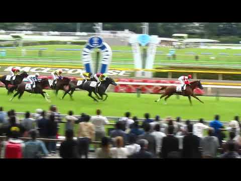 Tokyo Racecourse 2018