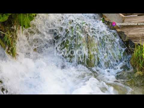 Plitvice Lakes National Park A Natural Wonder in Croatia