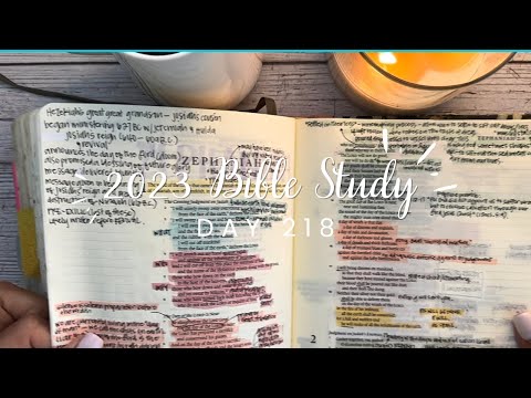 Study the Bible in One Year: Day 218 ZEPHENIAH 1-3 | Bible study for beginners