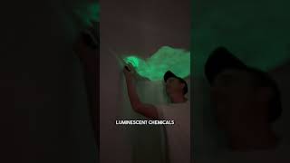 This Paste Turned into a magical room decoration