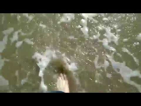 Drowned World -Skintologists