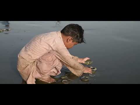 PALS Beach Trash Karachi Sea View