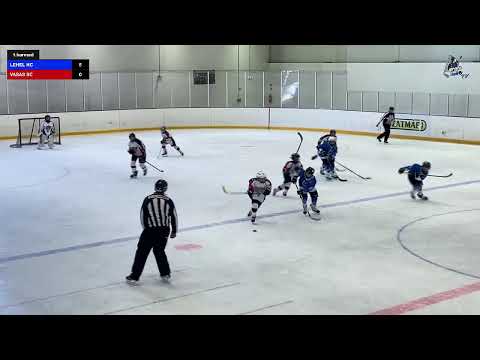 2021.03.07 LEHEL HC - VASAS SC U12/B 🇭🇺 1.harmad