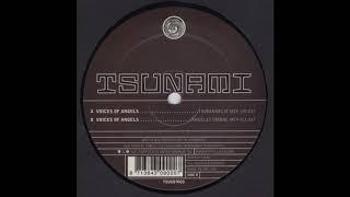 Michael Hill - Voices Of Angels (Tribangelic Mix)
