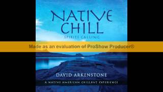 David Arkenstone   Native Chill 2014