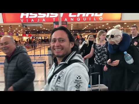 VIVALDIANNO Around the World – Official Tour Moments