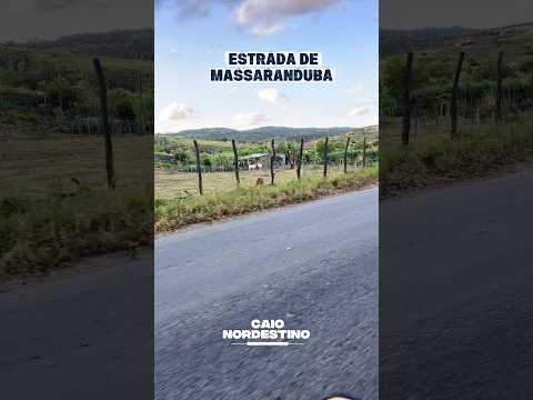 Estrada de massaranduba #paraiba #nordeste #roça #nordestino