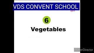 VDS Convent School Video