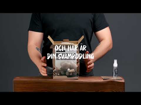 Instruktion Fresh Fungi BOX 2025