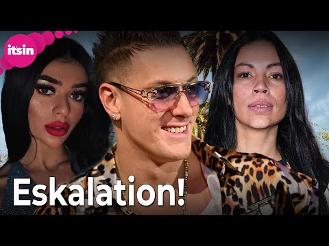 Gewalt-Eklat bei "Kampf der Realitystars": Das sagt Gisele Oppermann • it's in