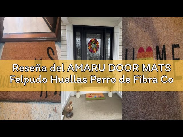 Vídeo relacionado con Felpudo Personalizado para la Entrada de Casa | Personaliza tu Felpudo con tu Perro o Gato | 70 x 40 cm | Perfecto para Regalo | Felpudos Originales y Divertidos en 100% Fibra de Coco | 1 + 1 Mascota