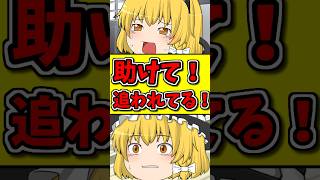 10秒後･･･何者かに追われて泣いてる猫！？ #shorts #博麗霊夢 #ゆっくり茶番劇