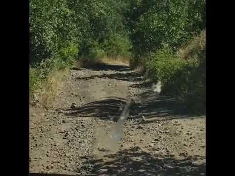 Video of the road and the trailer taking it like a champ