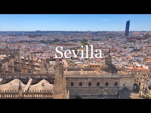 The Baker of Seville